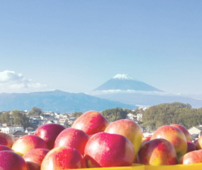 cobonとは? イメージ