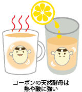 コーボンの天然酵母は熱や酸に強い