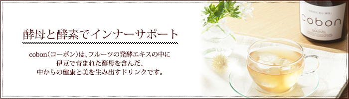 酵母と酵素でインナーケア