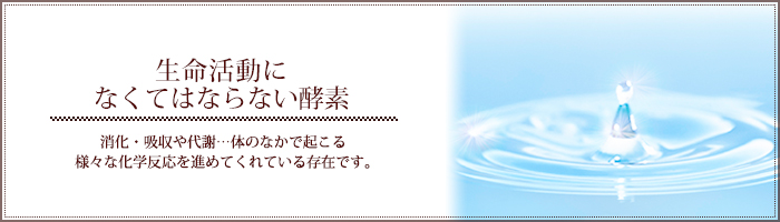 生命活動になくてはならない酵素