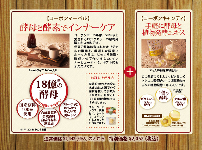 通常価格2,262円(税抜)のところ特別価格1,900円(税抜)